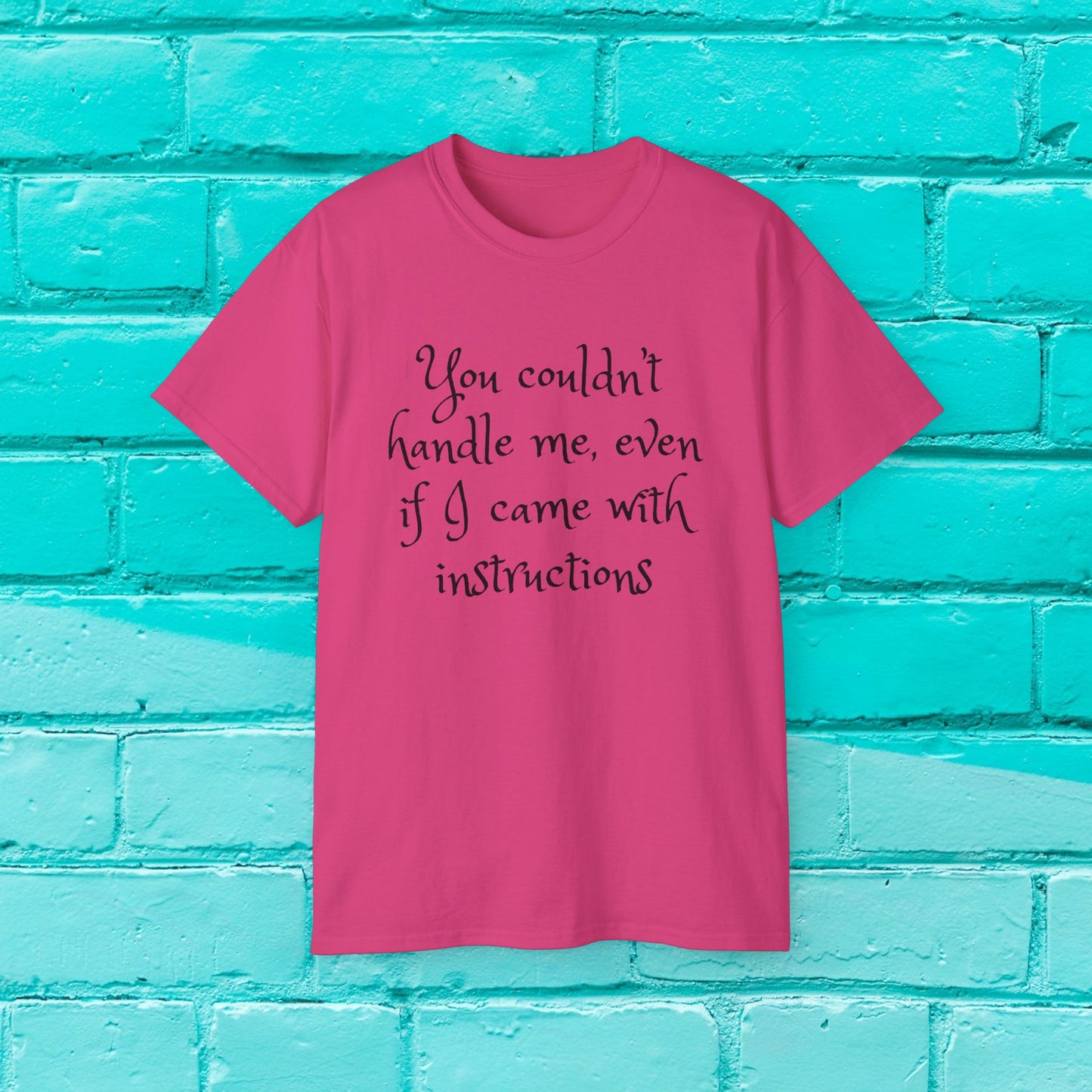 You couldn’t handle me, even if I came with instructions - Sassy T-Shirt