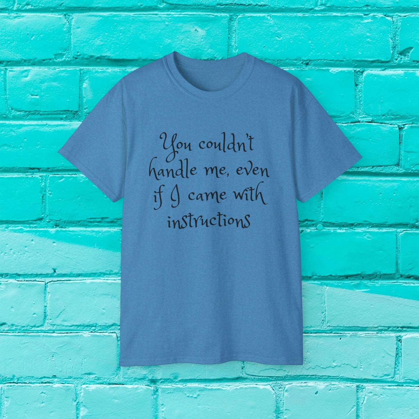 You couldn’t handle me, even if I came with instructions - Sassy T-Shirt