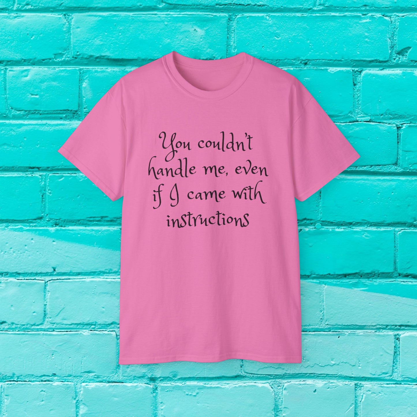 You couldn’t handle me, even if I came with instructions - Sassy T-Shirt