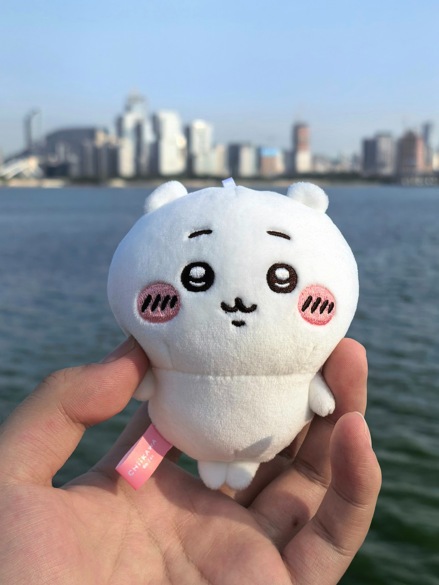 Transform Your Space with Positivity